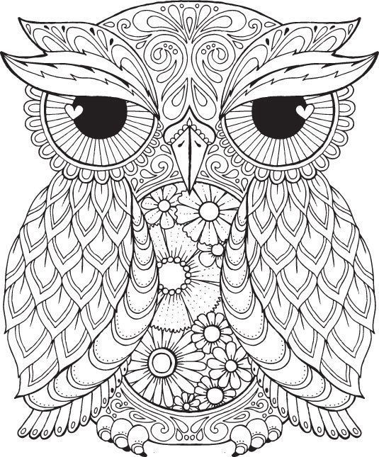 Dibujos para colorear e imprimir Búhos