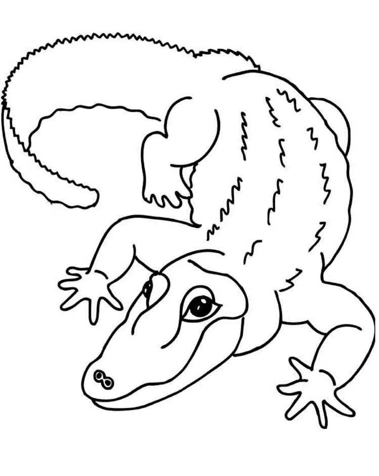 Dibujos para colorear e imprimir Cocodrilos