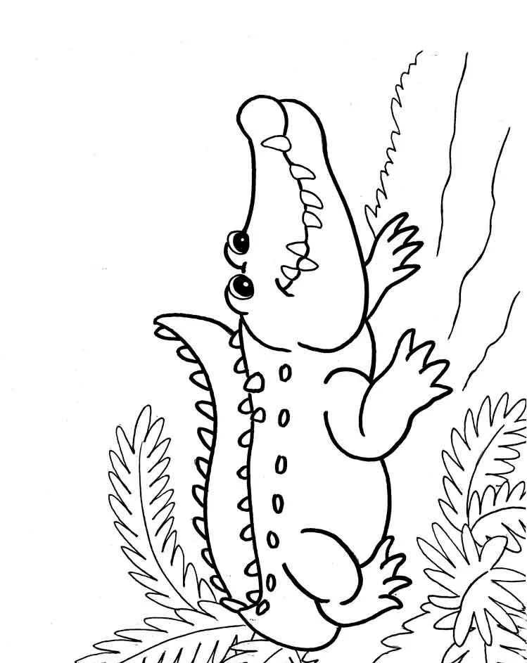Dibujos para colorear e imprimir Cocodrilos