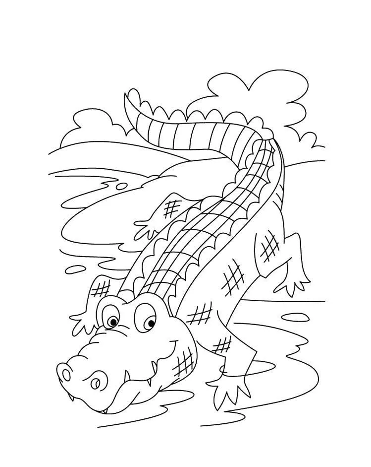 Dibujos para colorear e imprimir Cocodrilos