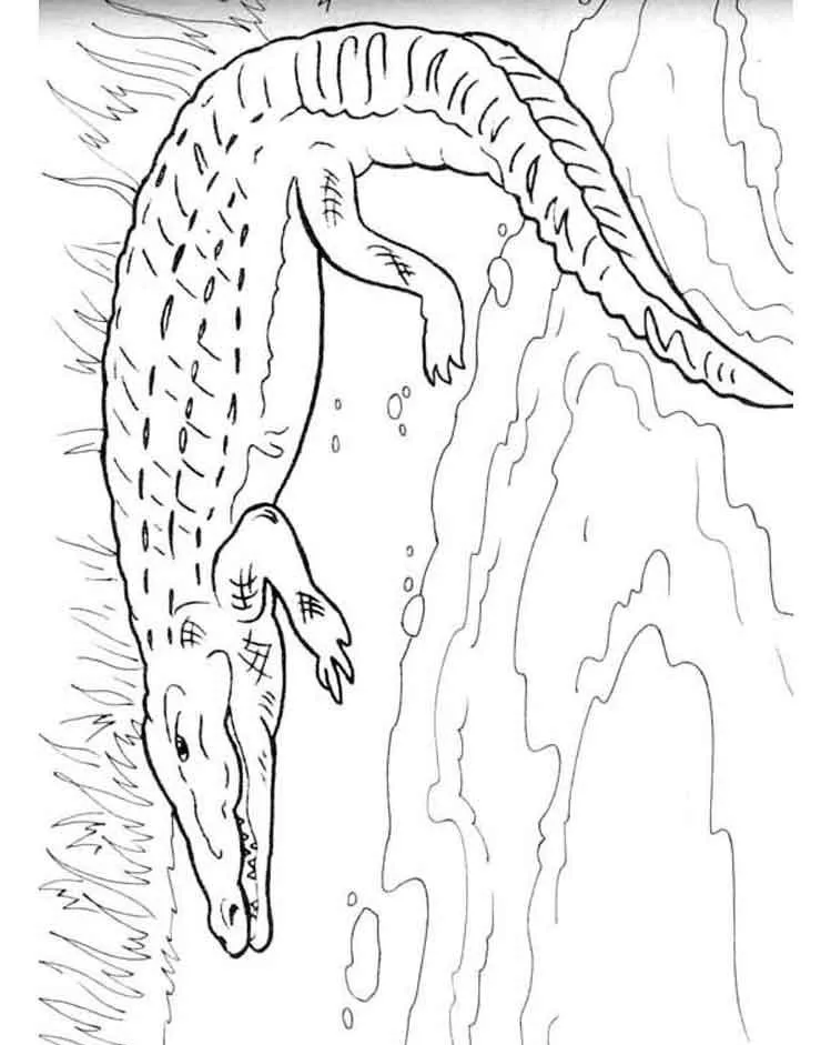 Dibujos para colorear e imprimir Cocodrilos